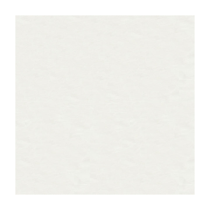 Kravet Design 4070-101 by Kravet Design Fabric Kravet Design Fabric Kravet Design 4070-101Fabric SILK - 100% India </p><p>Repeat: H: , V: 53.5 - Fabric Carolina -