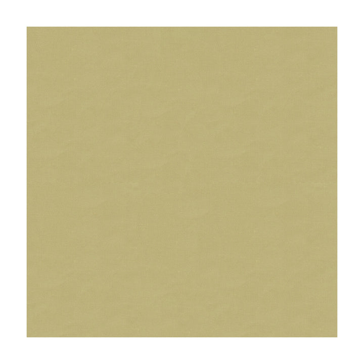 Kravet Design 4070-106 by Kravet Design Fabric Kravet Design Fabric Kravet Design 4070-106Fabric SILK - 100% India </p><p>Repeat: H: , V: 53.5 - Fabric Carolina -