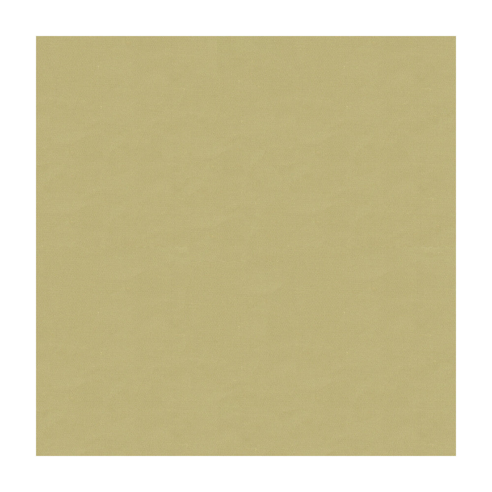 4070-106 by Kravet Design Fabric SILK - 100% India Horizontal: and Vertical: 53.5 - Fabric Carolina -