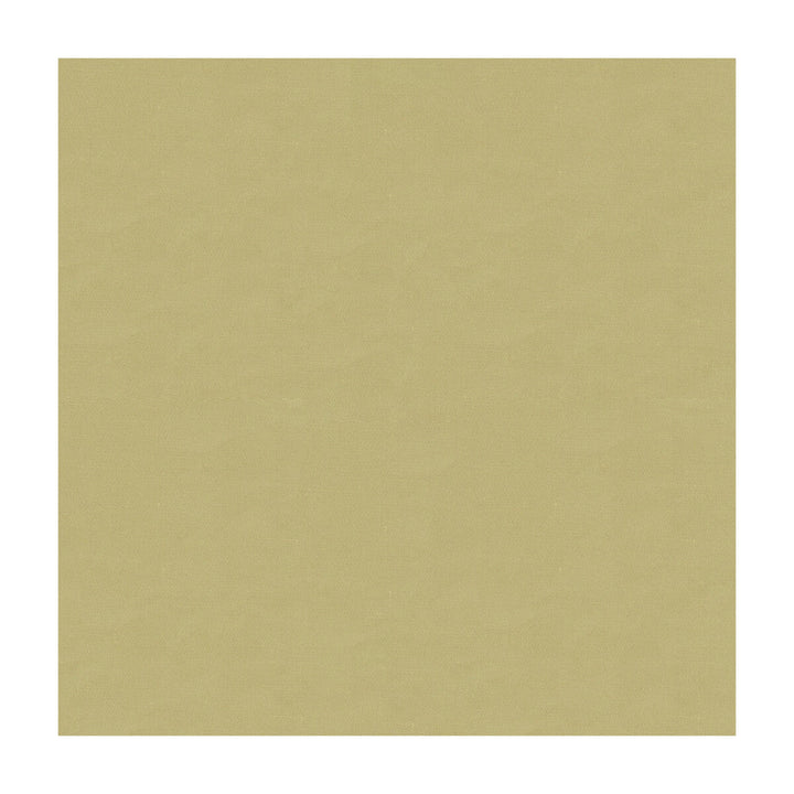 4070-106 by Kravet Design Designer Fabric SILK - 100% India Horizontal: and Vertical: 53.5 - Swanky Fabrics -