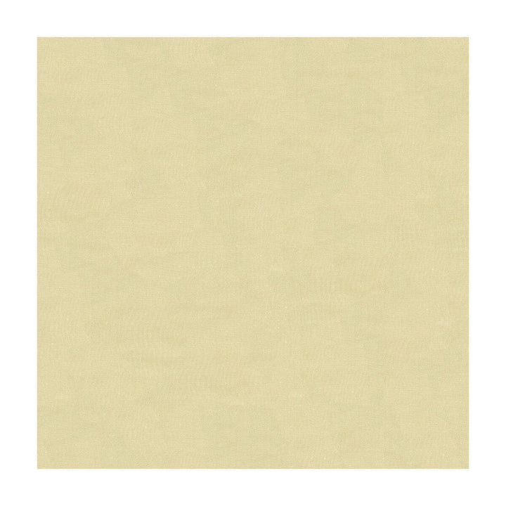 4070-1116 by Kravet Design Designer Fabric SILK - 100% India Horizontal: and Vertical: 53.5 - Swanky Fabrics -
