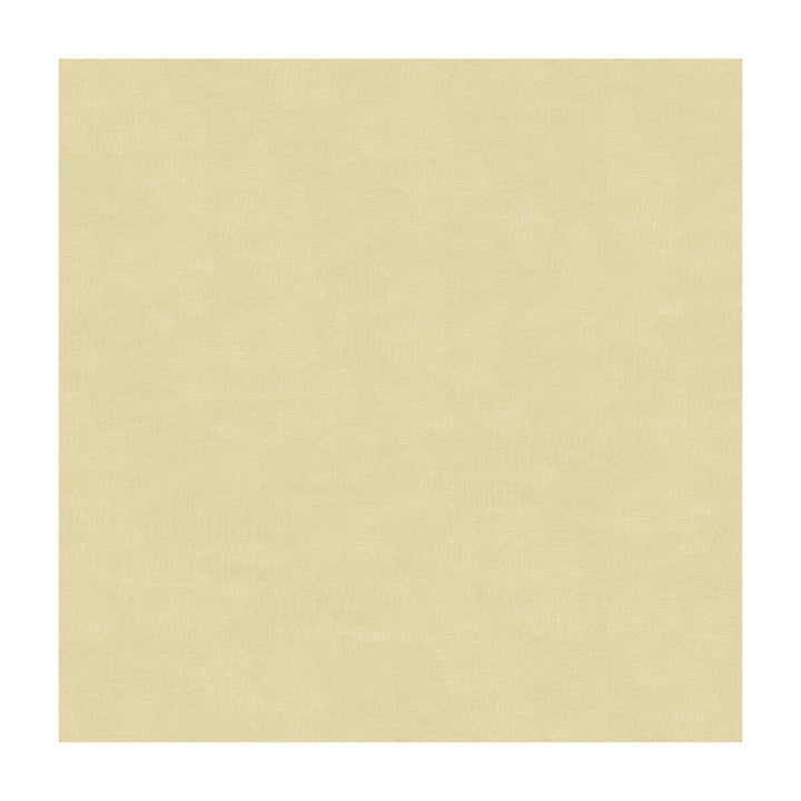 4070-1116 by Kravet Design Fabric SILK - 100% India Horizontal: and Vertical: 53.5 - Fabric Carolina -