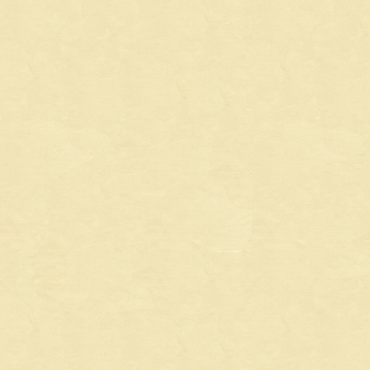 4070-111 by Kravet Design Fabric SILK - 100% India Horizontal: and Vertical: 53.5 - Fabric Carolina -