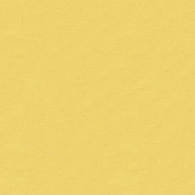 Kravet Design 4070-116 by Kravet Design Fabric