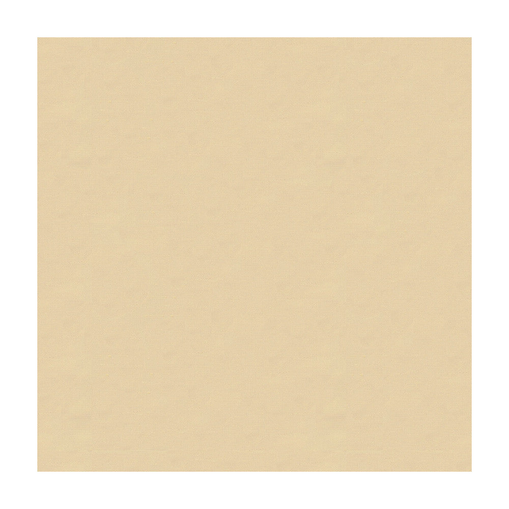 4070-116 by Kravet Design Fabric SILK - 100% India Horizontal: and Vertical: 53.5 - Fabric Carolina -