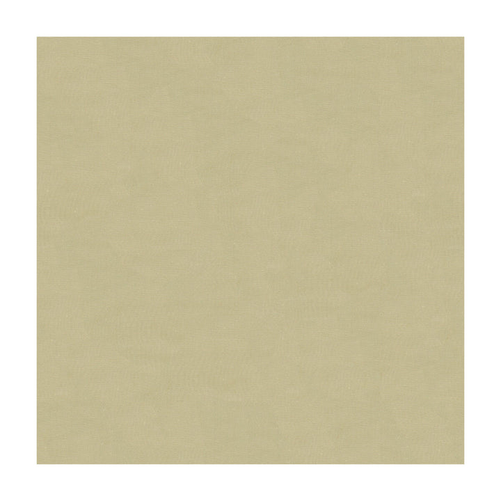 4070-11 by Kravet Design Fabric SILK - 100% India Horizontal: and Vertical: 53.5 - Fabric Carolina -