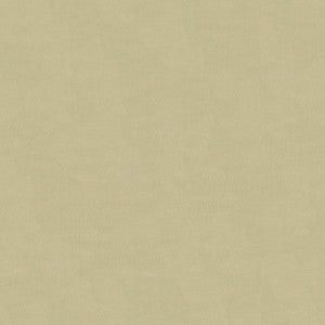 Kravet Design 4070-11 by Kravet Design Fabric