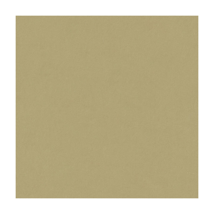 4070-1600 by Kravet Design Designer Fabric SILK - 100% India Horizontal: and Vertical: 53.5 - Swanky Fabrics -