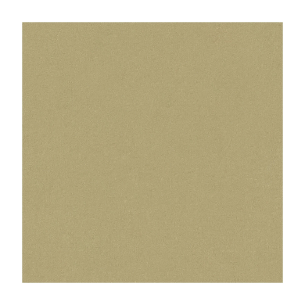 4070-1600 by Kravet Design Fabric SILK - 100% India Horizontal: and Vertical: 53.5 - Fabric Carolina -