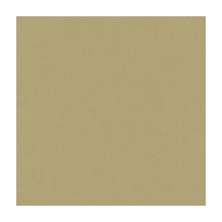 4070-1600 by Kravet Design Fabric - SILK - 100% India - Horizontal: - and Vertical: - 53.5 - Fabric Carolina -