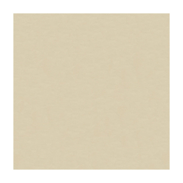 4070-1611 by Kravet Design Designer Fabric SILK - 100% India Horizontal: and Vertical: 53.5 - Swanky Fabrics -