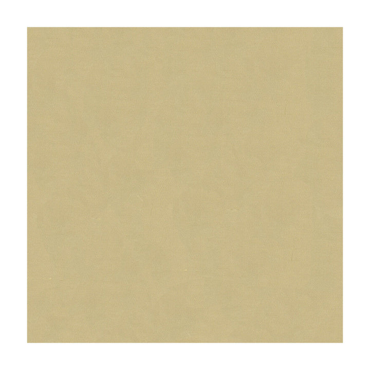 Kravet Design 4070-16 by Kravet Design Fabric Kravet Design Fabric Kravet Design 4070-16Fabric SILK - 100% India </p><p>Repeat: H: , V: 53.5 - Fabric Carolina -