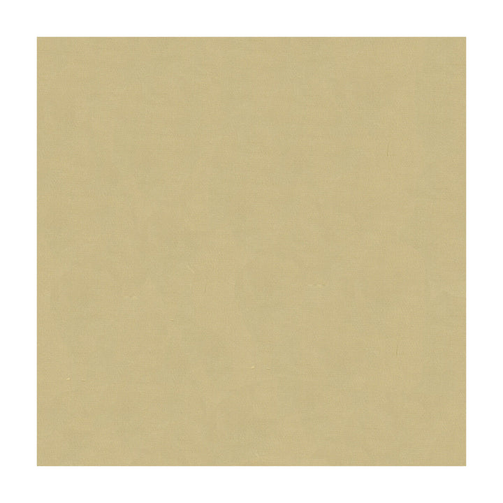 Kravet Design 4070-16 by Kravet Design Fabric Kravet Design Fabric Kravet Design 4070-16Fabric SILK - 100% India </p><p>Repeat: H: , V: 53.5 - Fabric Carolina -
