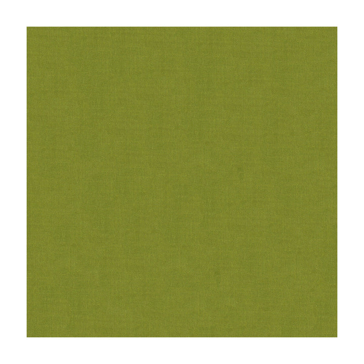 4070-30 by Kravet Design Designer Fabric SILK - 100% India Horizontal: and Vertical: 53.5 - Swanky Fabrics -