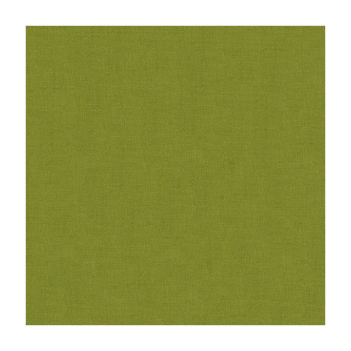 4070-30 by Kravet Design Fabric SILK - 100% India Horizontal: and Vertical: 53.5 - Fabric Carolina -