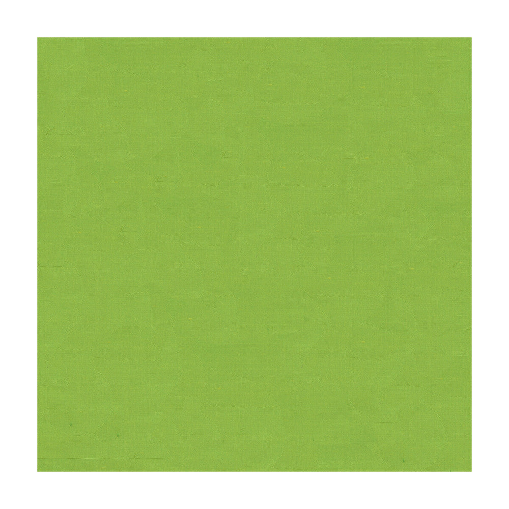 4070-3233 by Kravet Design Fabric SILK - 100% India Horizontal: and Vertical: 53.5 - Fabric Carolina -