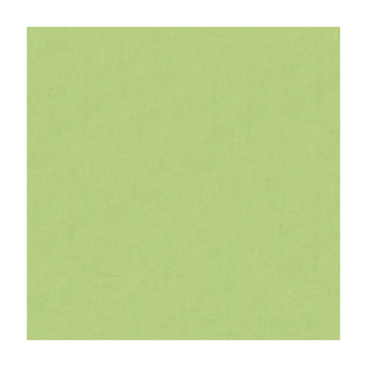 4070-330 by Kravet Design Fabric - SILK - 100% India - Horizontal: - and Vertical: - 53.5 - Fabric Carolina -