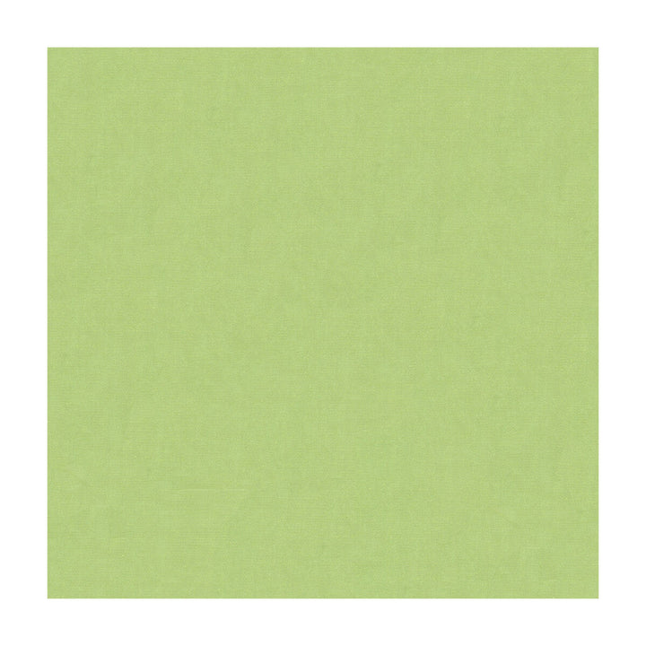 4070-330 by Kravet Design Designer Fabric SILK - 100% India Horizontal: and Vertical: 53.5 - Swanky Fabrics -
