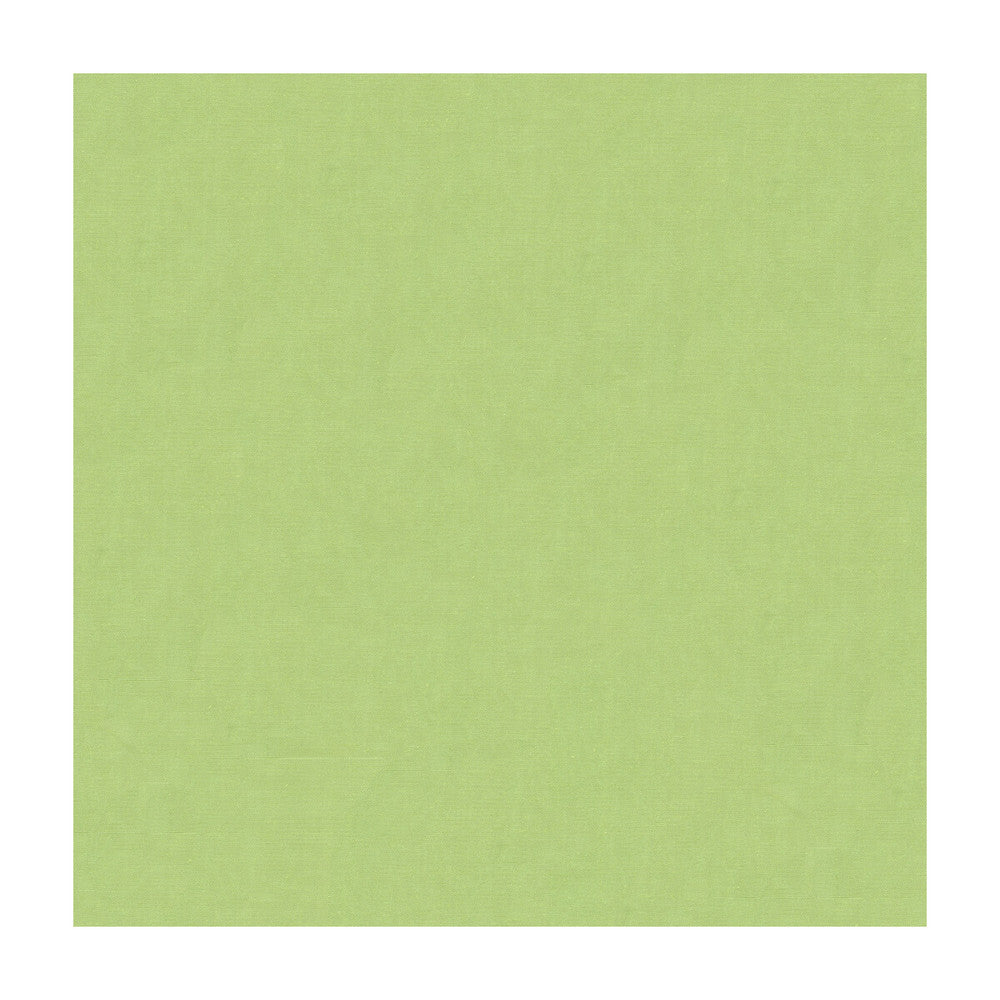 4070-330 by Kravet Design Fabric SILK - 100% India Horizontal: and Vertical: 53.5 - Fabric Carolina -