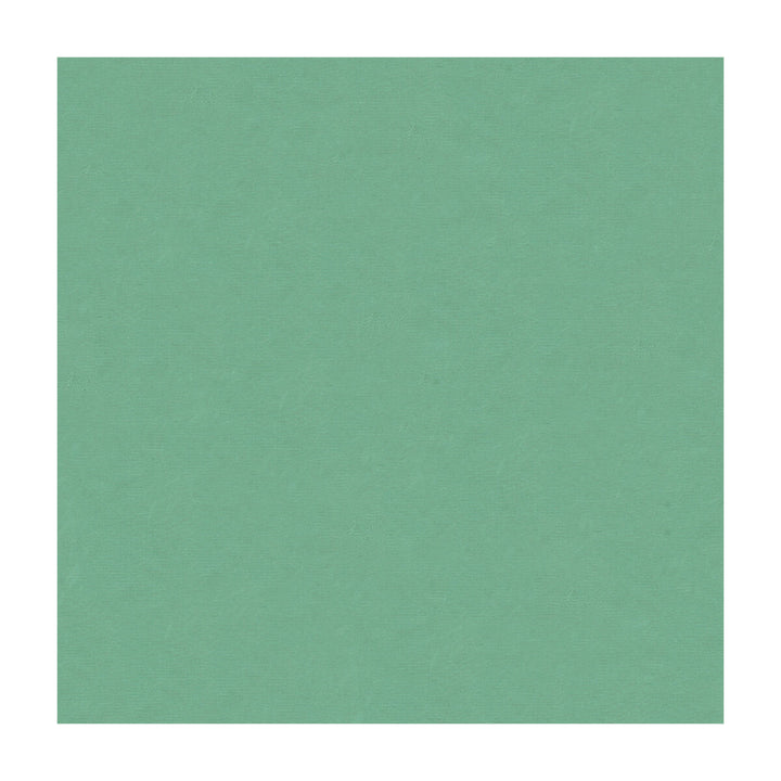 4070-3535 by Kravet Design Fabric - SILK - 100% India - Horizontal: - and Vertical: - 53.5 - Fabric Carolina -