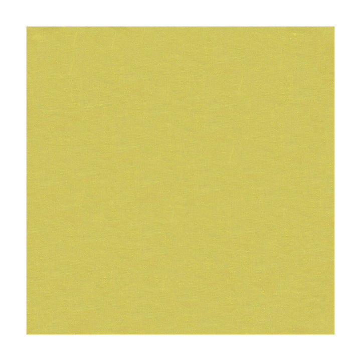 4070-3 by Kravet Design Fabric SILK - 100% India Horizontal: and Vertical: 53.5 - Fabric Carolina -