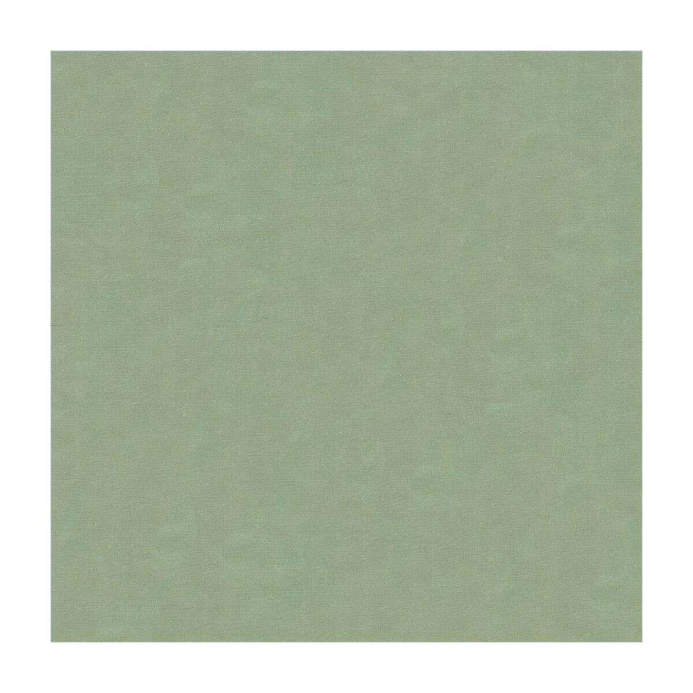 4070-5252 by Kravet Design Designer Fabric - SILK - 100% India - Horizontal: - and Vertical: - 53.5 - Swanky Fabrics -