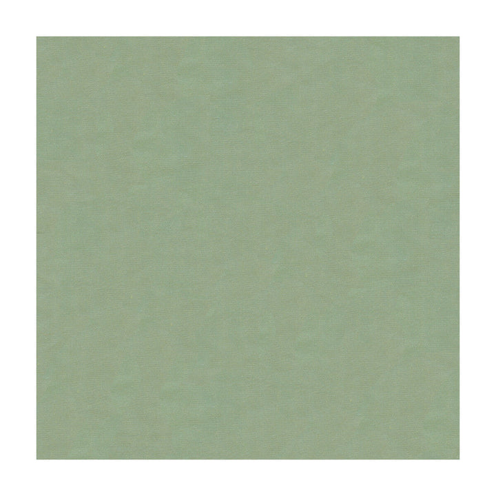 4070-5252 by Kravet Design Designer Fabric SILK - 100% India Horizontal: and Vertical: 53.5 - Swanky Fabrics -