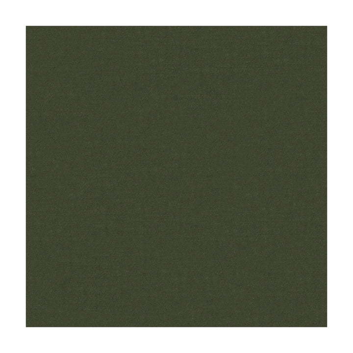 4070-52 by Kravet Design Fabric SILK - 100% India Horizontal: and Vertical: 53.5 - Fabric Carolina -