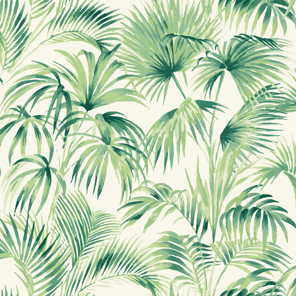 Manaus Green Palm Frond Wallpaper by Chesapeake Blue Heron Covers about 56.4 square feet 20.5-in by 33-ft long roll Prepasted 20.5 - Fabric Carolina -