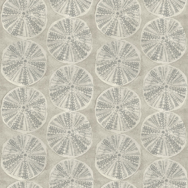 Sea Biscuit Grey Sand Dollar Wallpaper by Chesapeake Blue Heron Covers about 56.4 square feet 20.5-in by 33-ft long roll Prepasted 20.5 - Fabric Carolina -