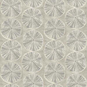 Sea Biscuit Grey Sand Dollar Wallpaper by Chesapeake
