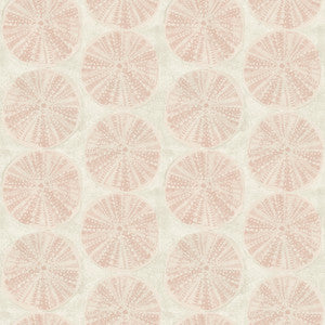 Sea Biscuit Peach Sand Dollar Wallpaper by Chesapeake