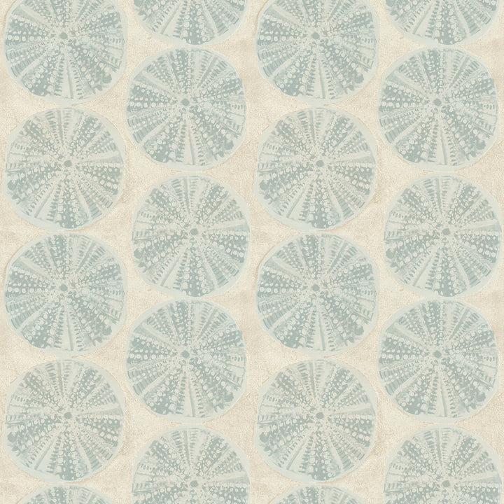 Sea Biscuit Aqua Sand Dollar Wallpaper by Chesapeake Blue Heron Covers about 56.4 square feet 20.5-in by 33-ft long roll Prepasted 20.5 - Fabric Carolina -