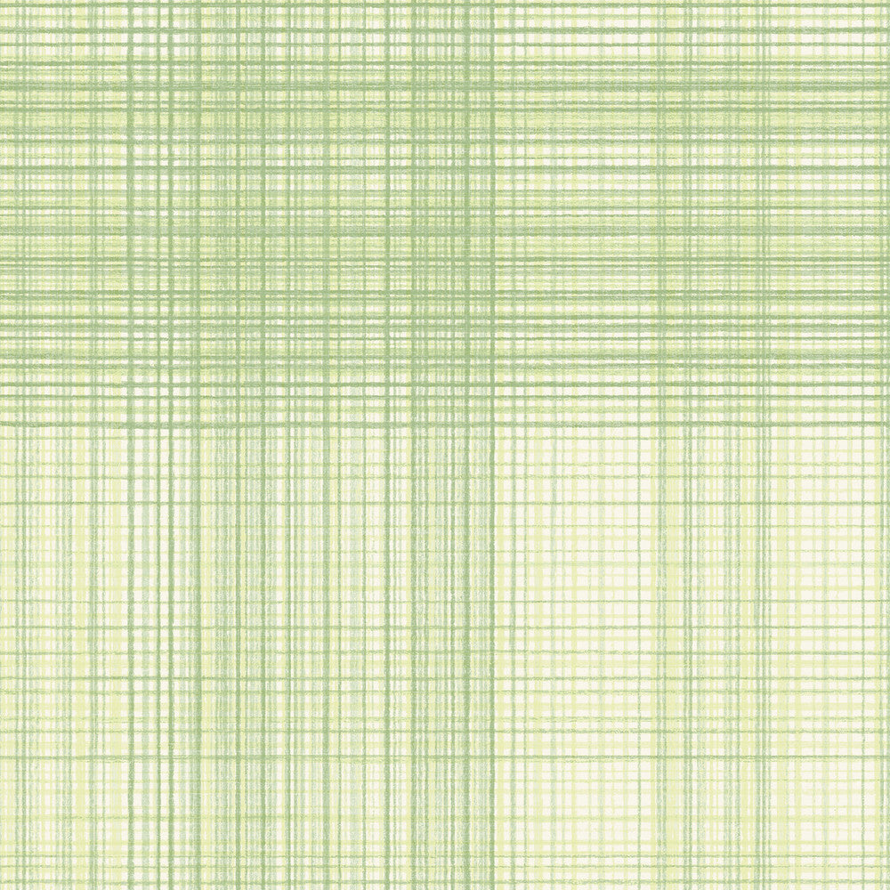 Madras Green Plaid Wallpaper by Chesapeake Blue Heron Covers about 56.4 square feet 20.5-in by 33-ft long roll Prepasted 20.5 - Fabric Carolina -