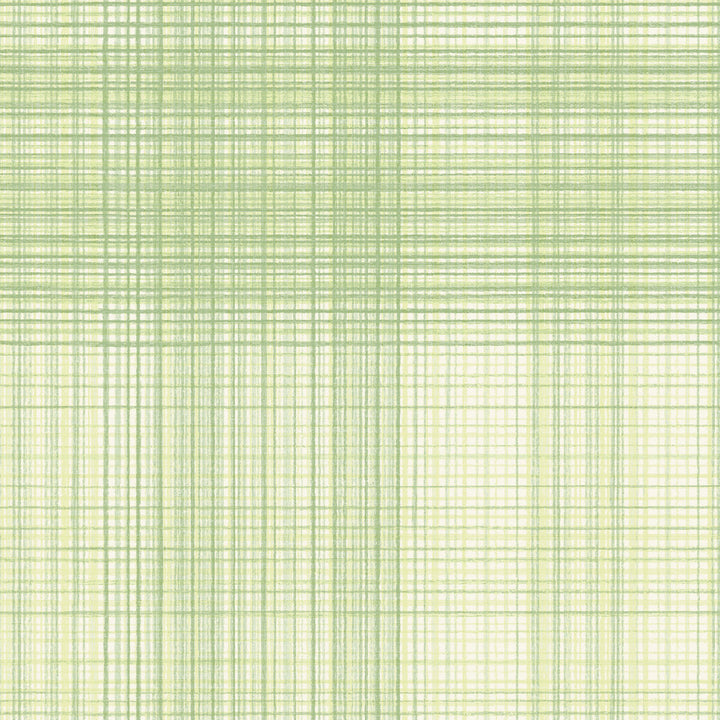 Madras Green Plaid Wallpaper by Chesapeake Blue Heron Covers about 56.4 square feet 20.5-in by 33-ft long roll Prepasted 20.5 - Fabric Carolina -