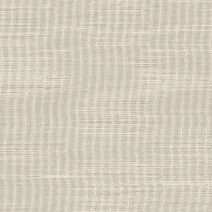 Spinnaker Light Grey Netting Wallpaper by Chesapeake Blue Heron Covers about 56.4 square feet 20.5-in by 33-ft long roll Prepasted 20.5 - Fabric Carolina -