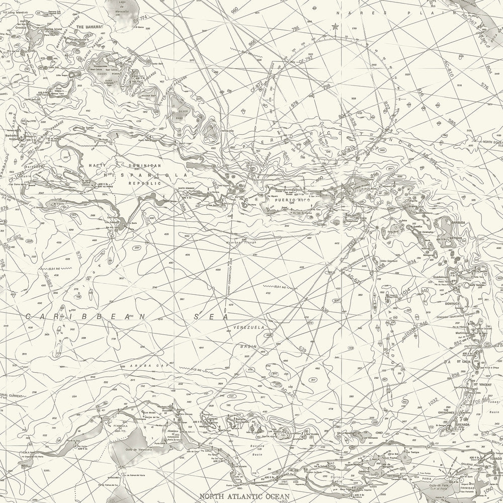 Charts Black Nautical Chart Wallpaper by Chesapeake Blue Heron Covers about 56.4 square feet 20.5-in by 33-ft long roll Prepasted 20.5 - Fabric Carolina -
