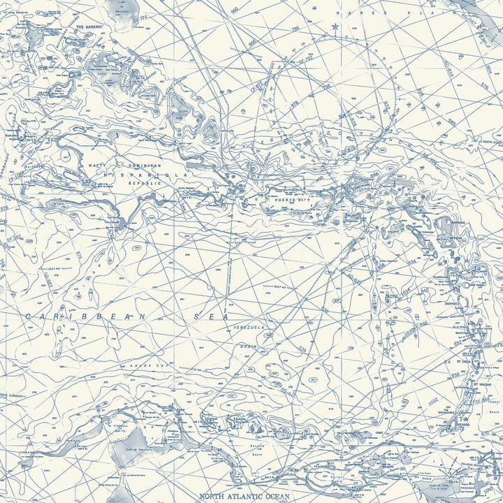 Charts Navy Nautical Chart Wallpaper by Chesapeake Blue Heron Covers about 56.4 square feet 20.5-in by 33-ft long roll Prepasted 20.5 - Fabric Carolina -