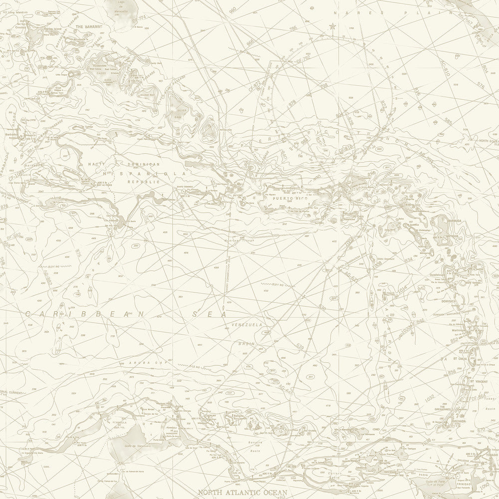 Charts Taupe Nautical Chart Wallpaper by Chesapeake Blue Heron Covers about 56.4 square feet 20.5-in by 33-ft long roll Prepasted 20.5 - Fabric Carolina -