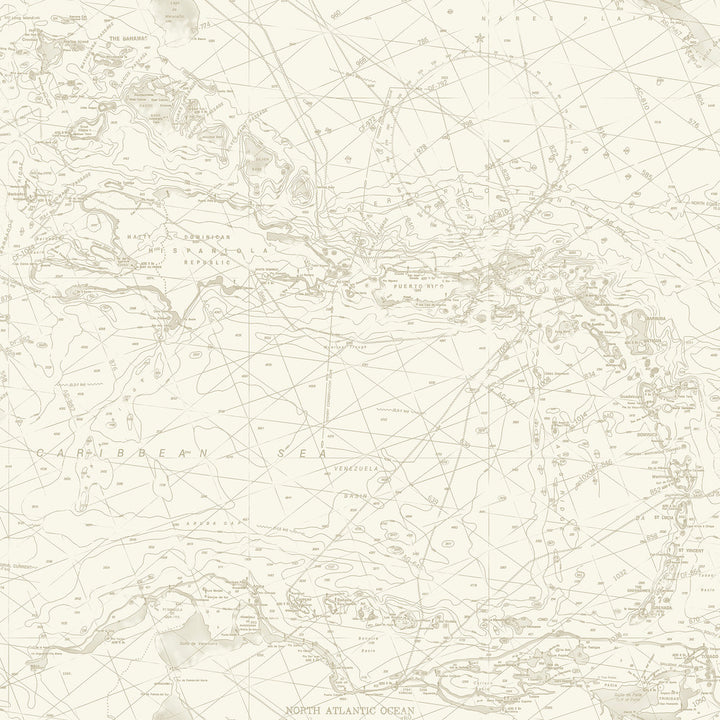 Charts Taupe Nautical Chart Wallpaper by Chesapeake Blue Heron Covers about 56.4 square feet 20.5-in by 33-ft long roll Prepasted 20.5 - Fabric Carolina -