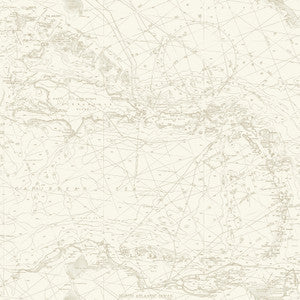 Charts Taupe Nautical Chart Wallpaper by Chesapeake
