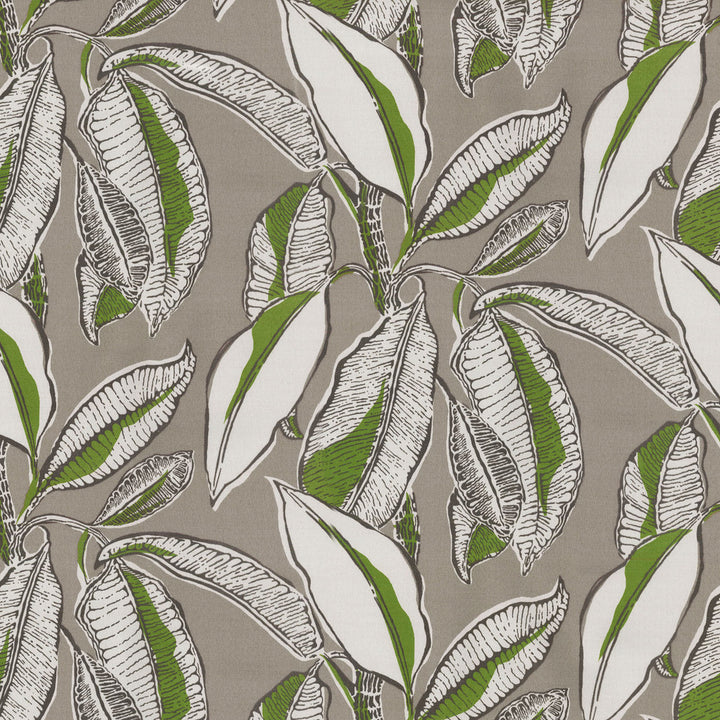 Jungle Jive Palm 407111 by PKL Studio Outdoor Fabric - 100% Spun Polyester USA 51000 Horizontal: 18 and Vertical: 13.5 54 - Fabric Carolina -