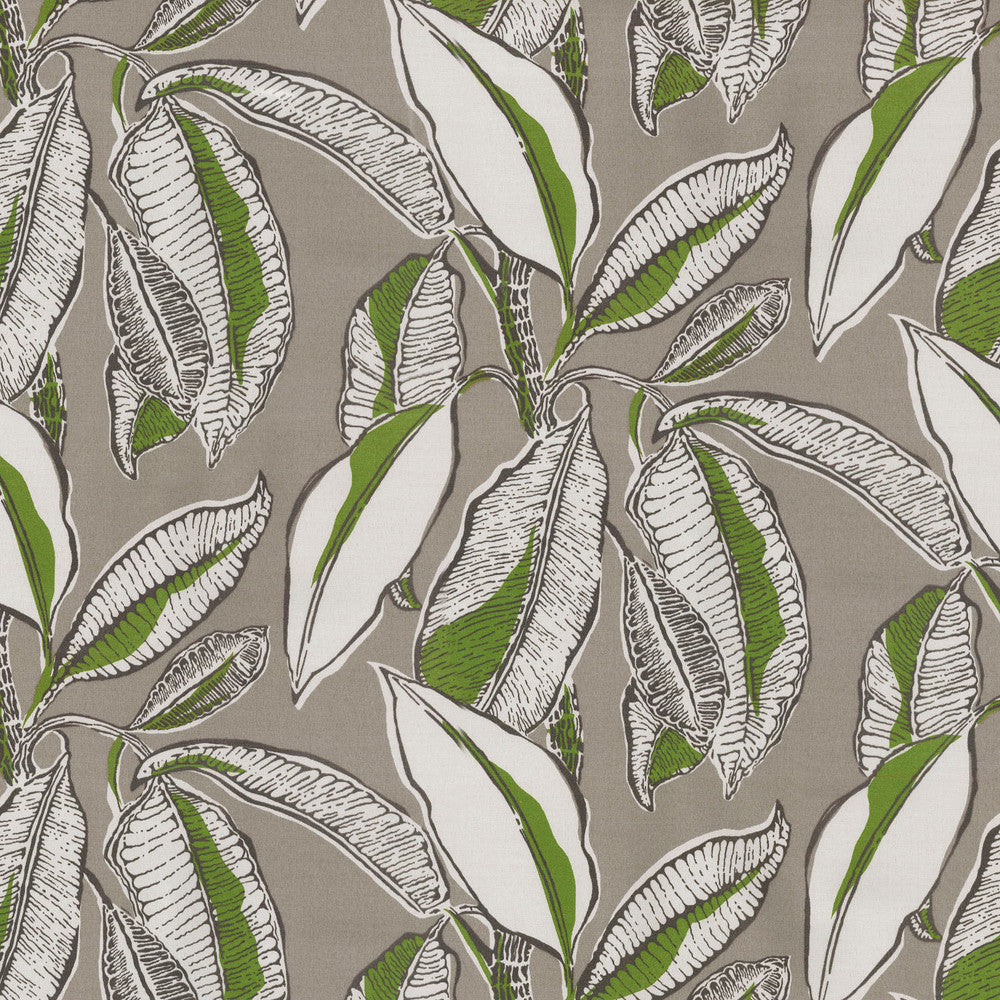 Od Jungle Jive Palm 407111 by PKL Studio Fabric OUTDOOR JUNE '18 100% Spun Polyester U.S.A. Wyzenbeek 51,000 Horizontal: 13.50" and Vertical: 18.00" 54" - Fabric Carolina -