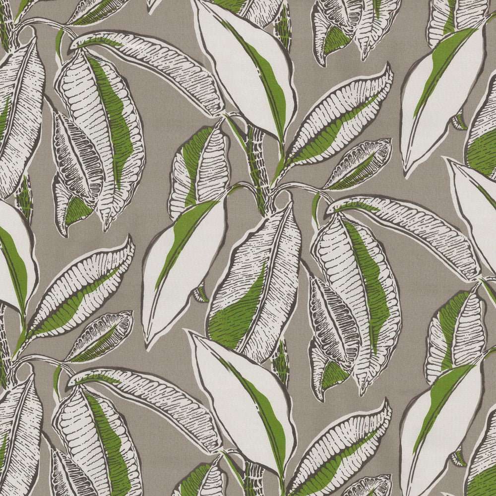Od Jungle Jive Palm 407111 by PKL Studio Fabric PKL Studio 100% Spun Polyester U.S.A. Abrasion Standard: General Use Horizontal: 13.5 and Vertical: 18 54" - Fabric Carolina -