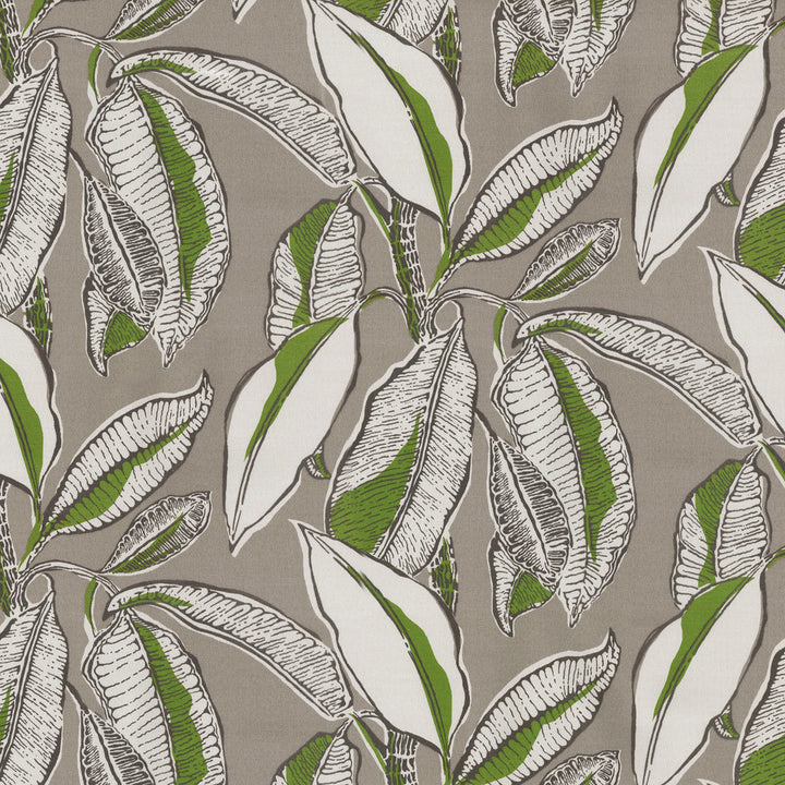 Od Jungle Jive Palm 407111 by PKL Studio Fabric PKL Studio 100% Spun Polyester U.S.A. Abrasion Standard: General Use Horizontal: 13.5 and Vertical: 18 54" - Fabric Carolina -