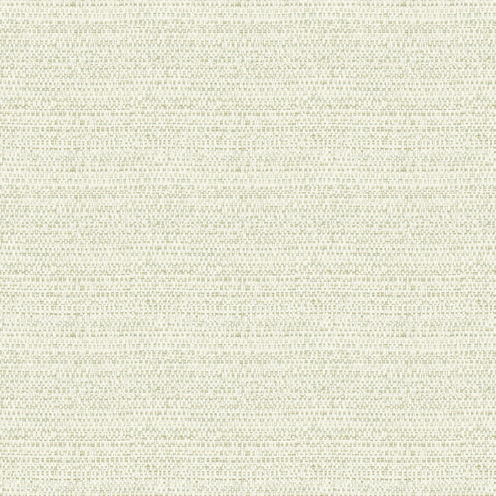Balantine Sage Weave Wallpaper by Chesapeake Delphine Covers about 56.4 square feet 20.5-in by 33-ft long roll Prepasted 20.5 - Fabric Carolina -