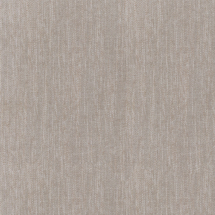 Beckett Dove 407255 by Performance Plus Fabric PKL STUDIO OCT'18 100% Polyester CHINA Wyzenbeek 51,000 Horizontal: 0.00" and Vertical: 0.00" 55" - Fabric Carolina -