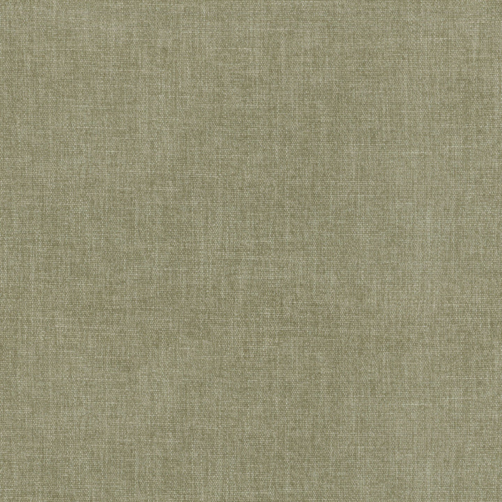 Mitchell Bamboo 407403 by PKL Studio Fabric - 100% Polyester CHINA 50000 Horizontal: 0 and Vertical: 0 54 - Fabric Carolina -