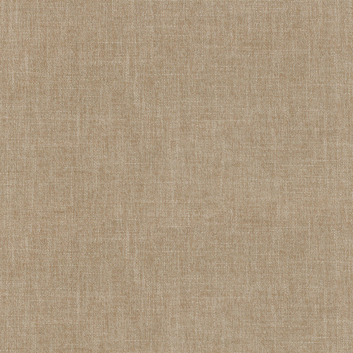 Mitchell Sand 407404 by PKL Studio Fabric - 100% COTTON 50000 Horizontal: 0 and Vertical: 0 54 - Fabric Carolina -