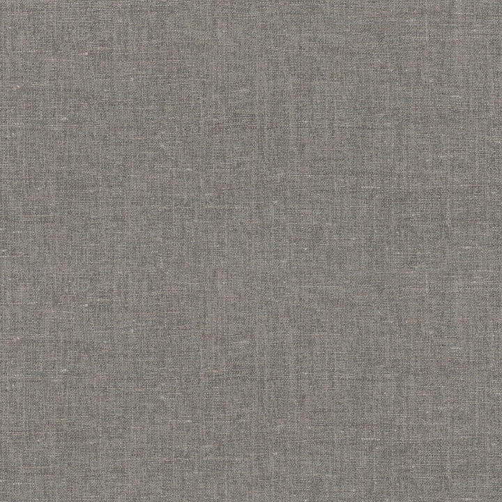 Accent Slate 407412 by PKL Studio Fabric - 97%Polyester 3%Cotton India 51000 Horizontal: 0 and Vertical: 0 54 - Fabric Carolina -